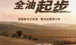 巅峰极速s6版本爆料最新,极致速度与激情，等你来挑战！