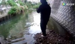 阿哈水库爆料视频大全集,揭秘事件真相与幕后故事